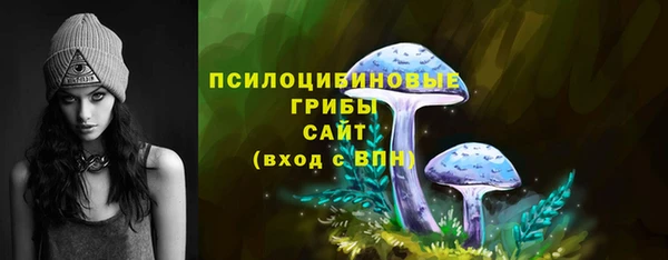 ПСИЛОЦИБИНОВЫЕ ГРИБЫ Алзамай