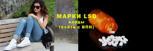 мет Алексин