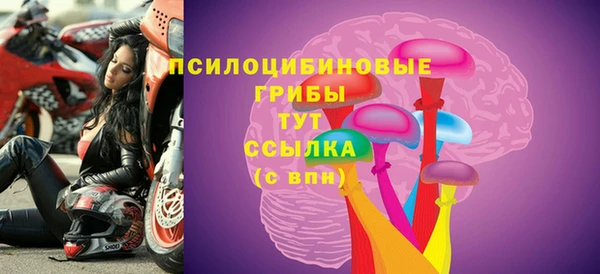 мет Алексин